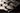 make text a bit out of focus, not the eagles, leafs, etc. as the text is all incorrect